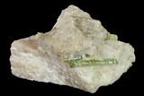 Yellow-Green Fluorapatite Crystal in Calcite - Ontario, Canada #137108-1